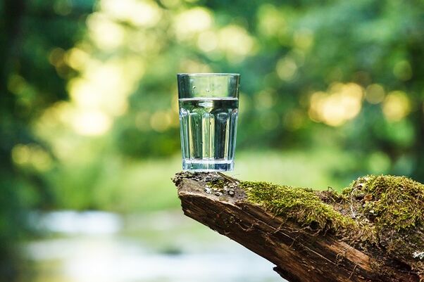 Taljena voda je najboljša možnost za vodno dieto
